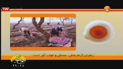 کلیپ درمان افسردگی با گیاهان دارویی