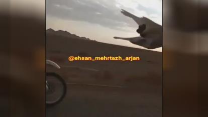 کبوتر وموتور