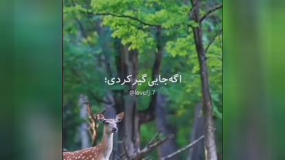توکل به خدا