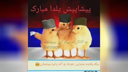 جوجه رو آخر پاییز میشمارن