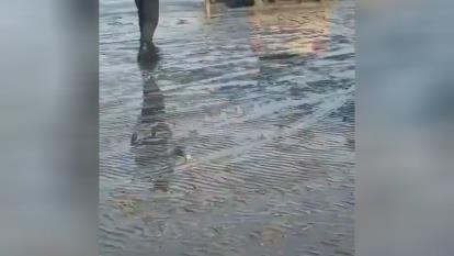 ماشین ساحل