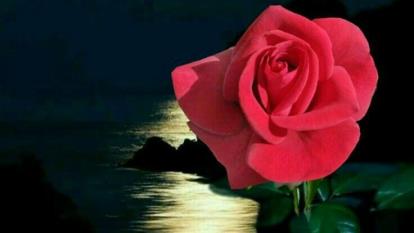 مداحی زیبای مهدی رسولی به نام ای جان جان کربلا