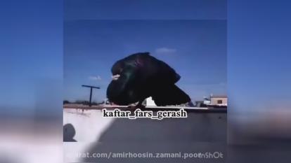 بدون عنوان