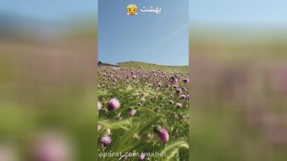 صحنات طبیعت