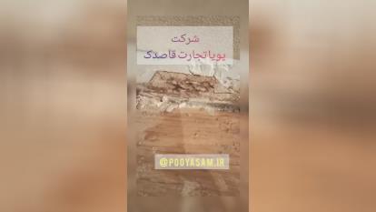 از بین بردن موریانه در شیراز