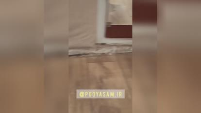 نابودی موریانه