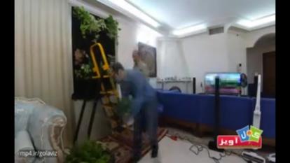 راهنمای نصب و راه‌اندازی دیوار سبز گل‌آویز در داخل آپارتمان