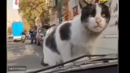 سرقت از شما به این سادگی