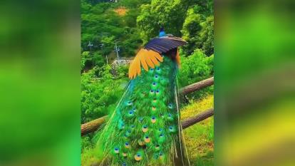 یه حس خوب تقدیم به شما😘😘