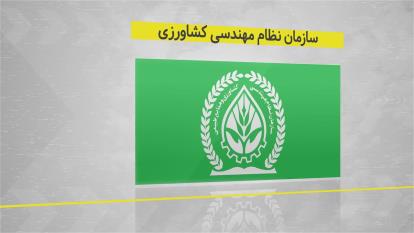 معرفی مجوزهای شرکت گسترش طراحان نقش الماس