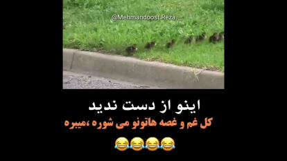 صدا گذاری عالـــــــــــی