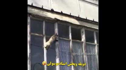 کی کباب پخته