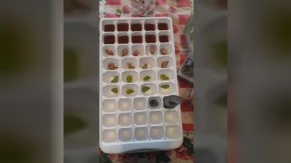 یخ فانتزی و م یوه ای درست کنیم