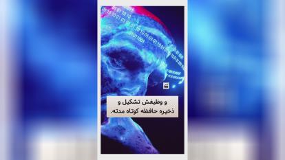 اثر مخرب الکل بر مغز