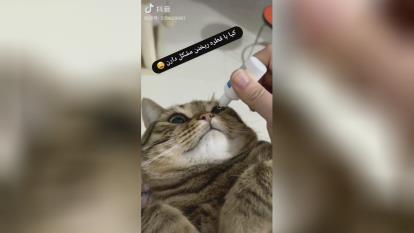 اشک مصنوعی😂