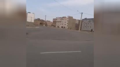 درگ زانتیا و هایما