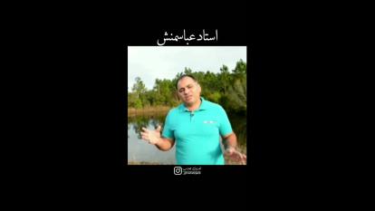 موفقییت
