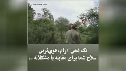ذهن آرام چقدر میتونه قدرت داشته باشه!!!؟