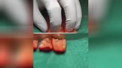 همه جوره اش خوشمزه است
