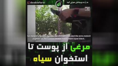متفاوت باش و موفق