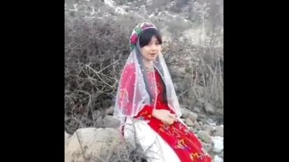 قشقایی قیزی