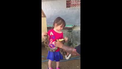 مار بازی