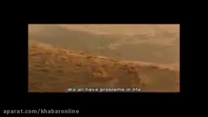 تیزر طعم گیلاس