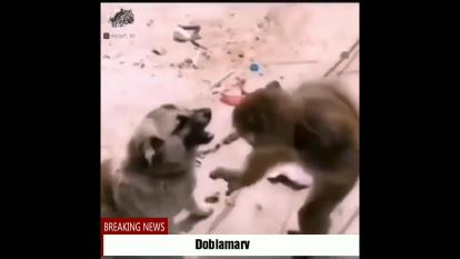 دوبله مرو دشتی خنده دار 😂😂