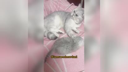 این قرنطینه خیلی چیزا را بر ملا کرده