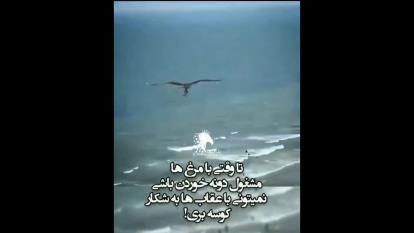 یه عقاب باش...