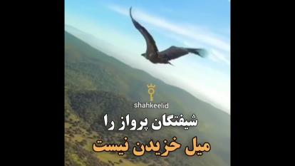 خیلی بهم انگیزه میده