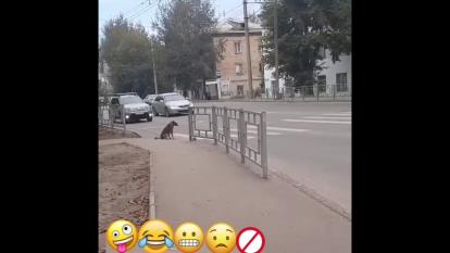 بدون شرح .................
