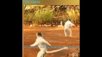 طنز وضعیت و شرایط شروع سال تحصیلی جدید با وجود کرونا