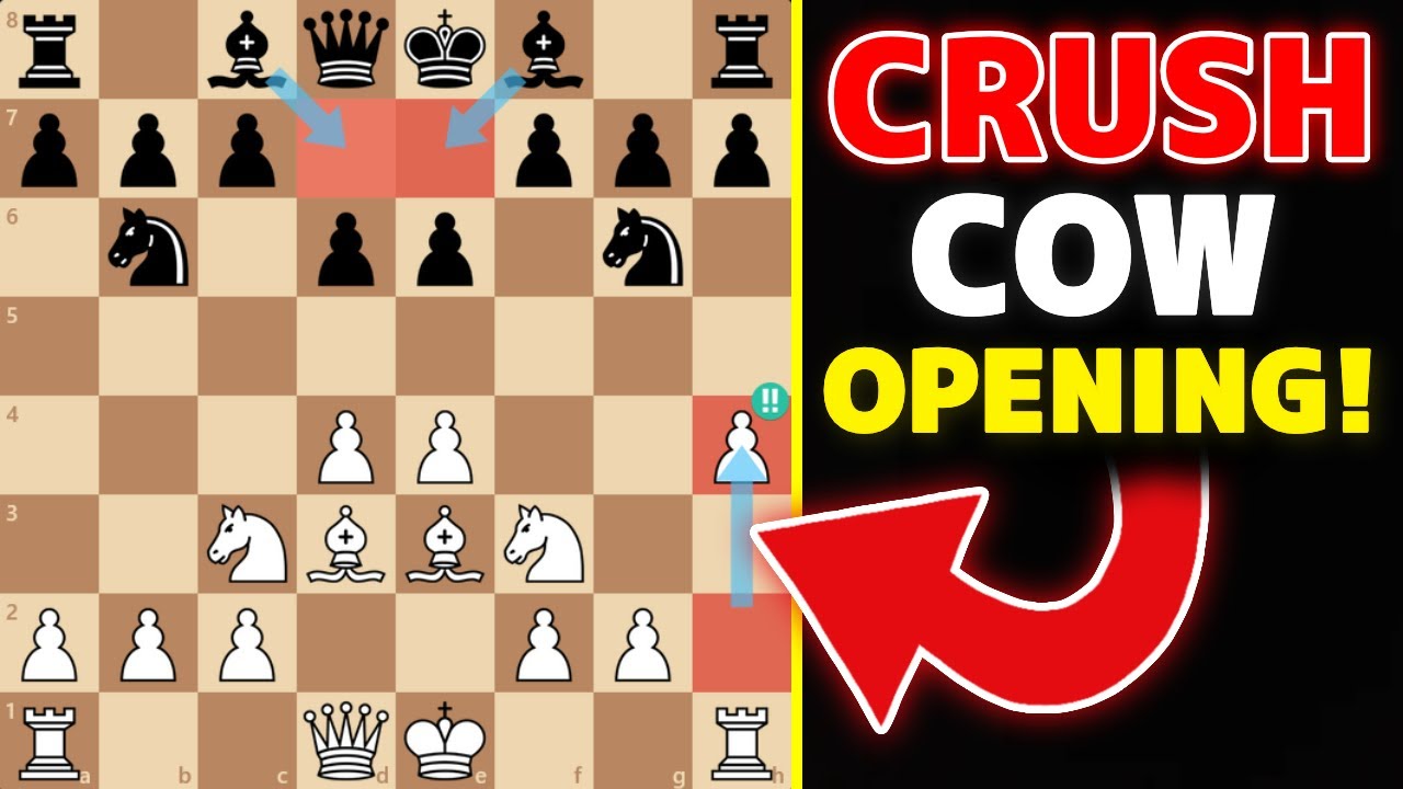 پوستر CRUSH Anna Cramlings Cow Opening Attack Like Alpha Zero!