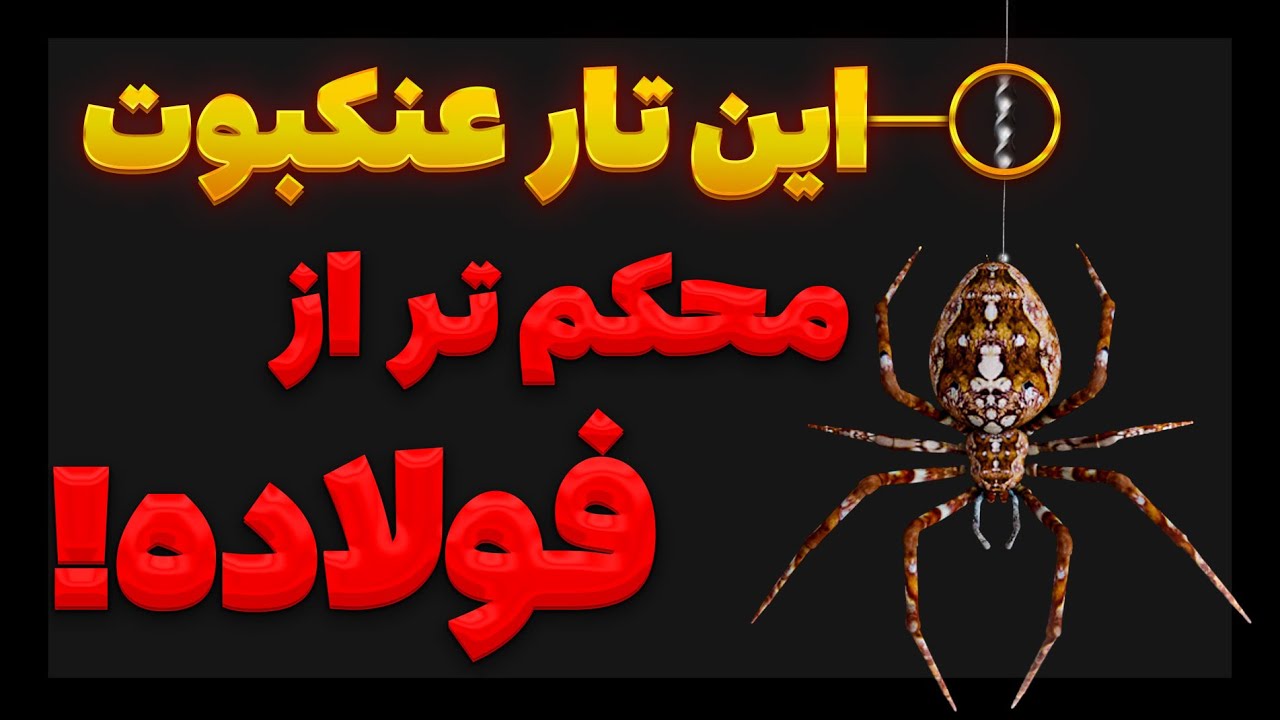 پوستر چرا تار عنکبوت قویترین ماده طبیعته؟