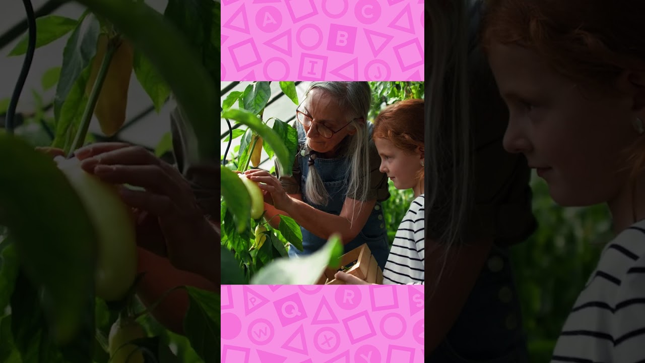 پوستر 🪴 حرف G برای باغچه است! 🪴 بیبی آینشتاین Shorts