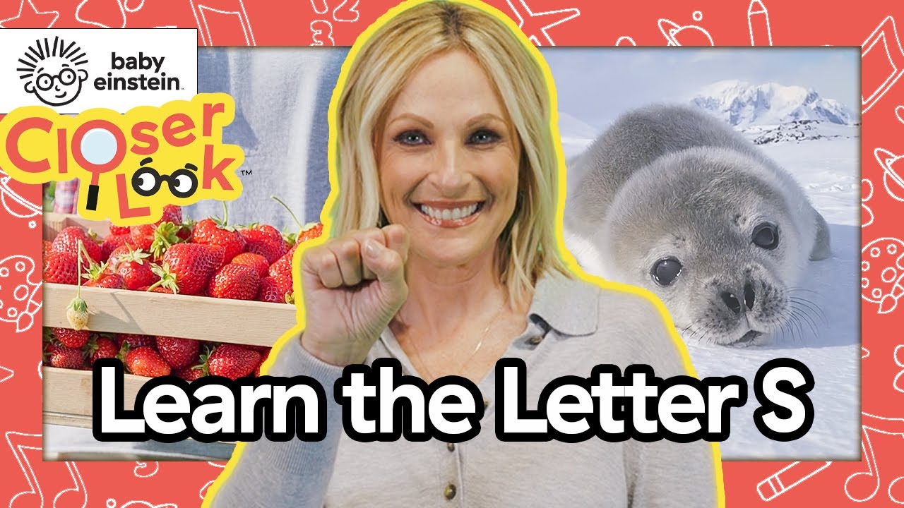 پوستر نگاه نزدیک حرف S 🔍 آموزش حروف با مارلی متلین ⭐️ Bab