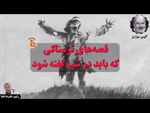 پوستر کتاب صوتی قصه‌های ترسناکی که باید در شب گفته شود اثر آلوین...