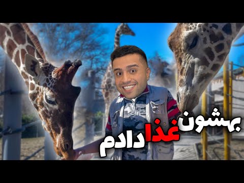 پوستر باغ وحش رو ریختیم بهم 😅 پارت 1 Me and Amin in Zoo