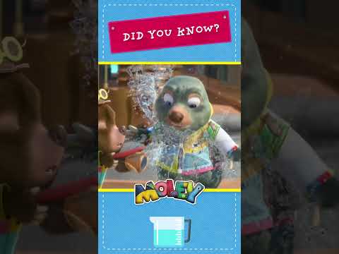 پوستر راه‌های صرفه‌جویی در مصرف آب! مولی بومرنگ انگلستان کوتاه