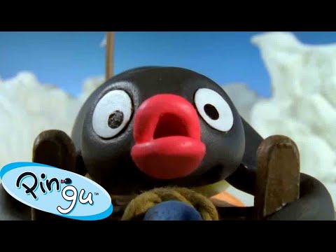 پینگو رقابتی می‌شود 🐧 | کانال رسمی پینگو | انیمیشن برای کودکان