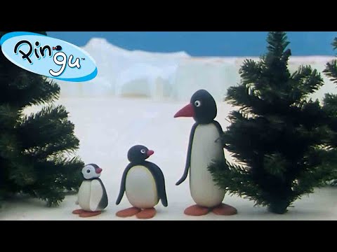 پینگو سپاسگزار است 🐧 | کانال رسمی پینگو | انیمیشن برای کودکان