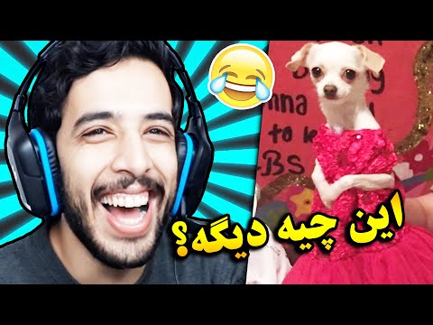 پوستر عجیب ترین و خندهدارترین عکس های جهان در سایت Reddit 😅