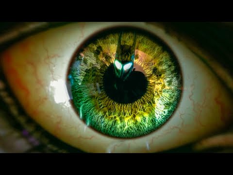 پوستر Batman Arkham Origins - Its Just... Ok - Luke Stephens