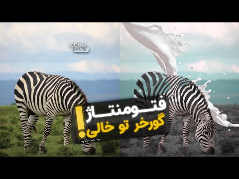 پوستر فتومنتاژ گورخر تو خالی 😍😨💙 سینا ایمانی