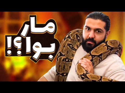 پوستر مار بازی