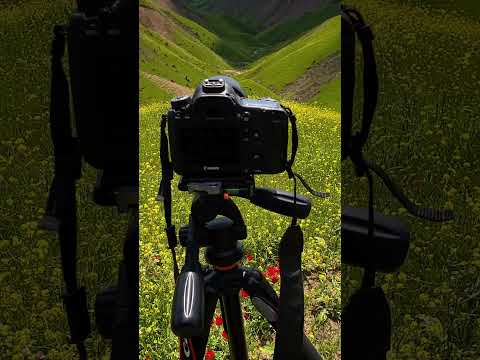 پوستر طبیعت بی نظیر از خالدنبی