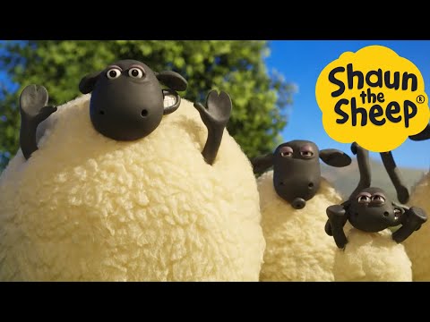 پوستر شان گوسفند 🐑 گوسفند جادویی