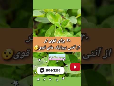 با قوی‌ترین آنتی‌بیوتیک‌های جهان آشنا شوید