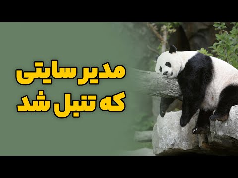 پوستر الگوریتم‌های مهم گوگل و تاثیر آن‌ها در سئو سایت شما